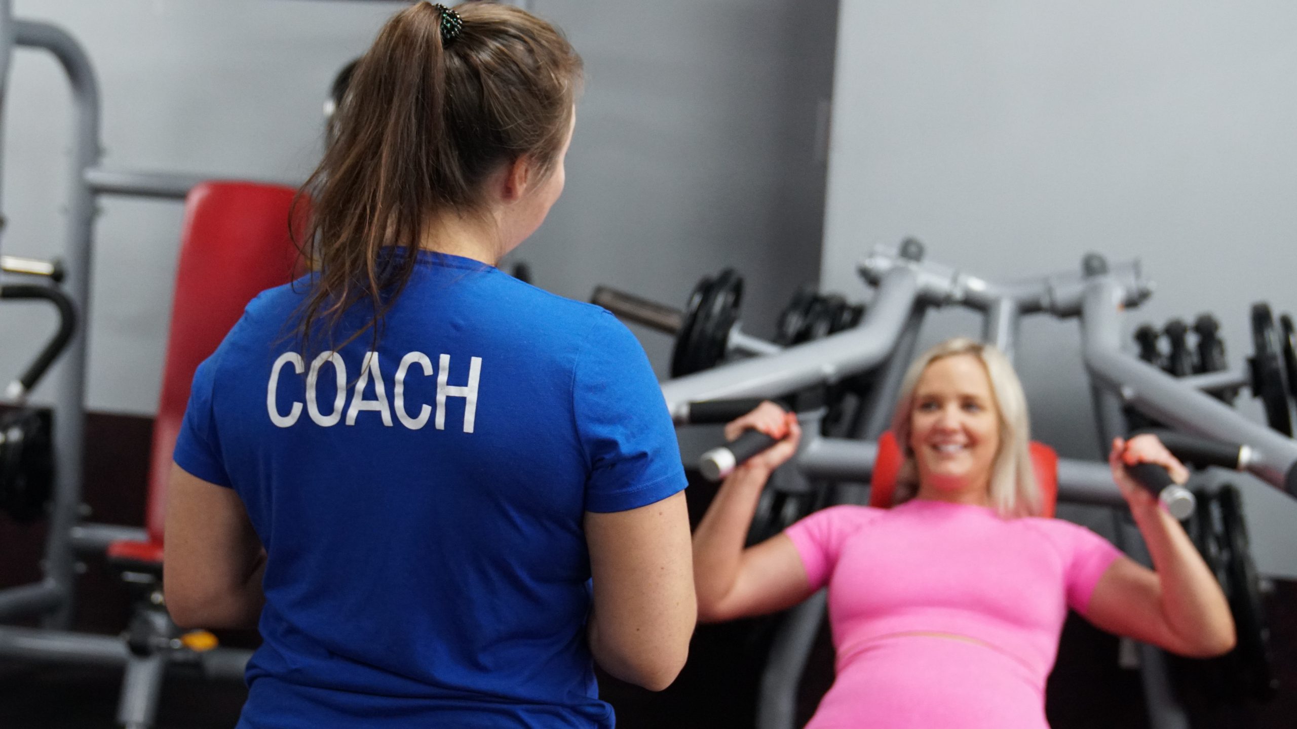 Gym Business Model A Profitable Fitness Franchise Venture Workoutanytime